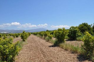 Αγροτεμάχια 10.347,19 τ.μ. για πώληση, Αργολίδα, Άργος-thumb-8