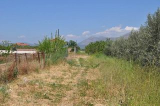 Αγροτεμάχια 10.347,19 τ.μ. για πώληση, Αργολίδα, Άργος-thumb-18