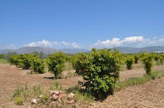 Αγροτεμάχια 10.347,19 τ.μ. για πώληση, Αργολίδα, Άργος-thumb-1