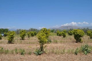 Αγροτεμάχια 10.347,19 τ.μ. για πώληση, Αργολίδα, Άργος-thumb-2