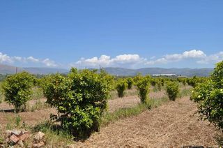 Αγροτεμάχια 10.347,19 τ.μ. για πώληση, Αργολίδα, Άργος-thumb-7