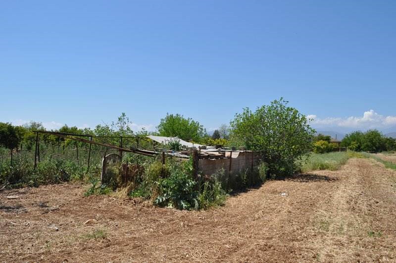 Αγροτεμάχια 10.347,19 τ.μ. προς πώληση, Λάλουκας