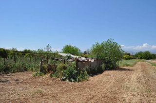 Αγροτεμάχια 10.347,19 τ.μ. για πώληση, Αργολίδα, Άργος-thumb-3