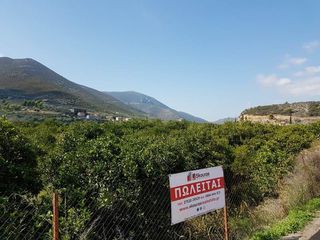 Οικόπεδο 1.900 τ.μ. για πώληση, Αργολίδα, Επίδαυρος-thumb-15