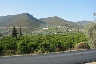Οικόπεδο 1.900 τ.μ. για πώληση, Αργολίδα, Επίδαυρος-thumb-5