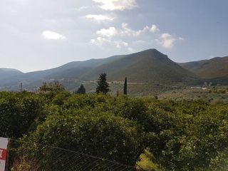 Οικόπεδο 1.900 τ.μ. για πώληση, Αργολίδα, Επίδαυρος-thumb-17
