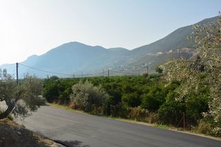 Οικόπεδο 1.900 τ.μ. για πώληση, Αργολίδα, Επίδαυρος-thumb-2