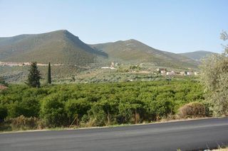 Οικόπεδο 1.900 τ.μ. για πώληση, Αργολίδα, Επίδαυρος-thumb-4