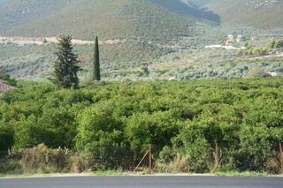Οικόπεδο 1.900 τ.μ. για πώληση, Αργολίδα, Επίδαυρος-thumb-7