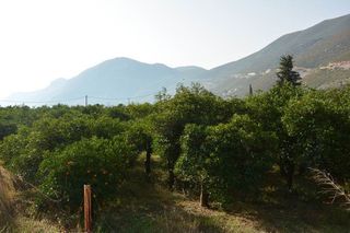 Οικόπεδο 1.900 τ.μ. για πώληση, Αργολίδα, Επίδαυρος-thumb-11