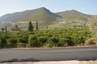 Οικόπεδο 1.900 τ.μ. για πώληση, Αργολίδα, Επίδαυρος-thumb-3