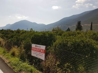 Οικόπεδο 1.900 τ.μ. για πώληση, Αργολίδα, Επίδαυρος-thumb-16