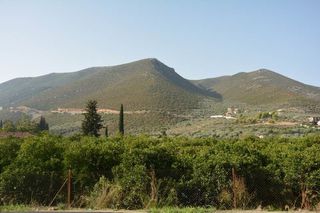 Οικόπεδο 1.900 τ.μ. για πώληση, Αργολίδα, Επίδαυρος-thumb-9