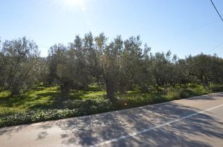 Αγροτεμάχια 2.900 τ.μ. για πώληση, Αργολίδα, Λέρνα-thumb-8