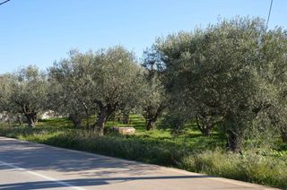 Αγροτεμάχια 2.900 τ.μ. για πώληση, Αργολίδα, Λέρνα-thumb-23