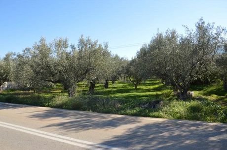 Αγροτεμάχια 2.900τ.μ. για πώληση-Λέρνα