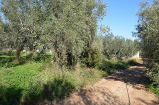 Αγροτεμάχια 2.900 τ.μ. για πώληση, Αργολίδα, Λέρνα-thumb-13