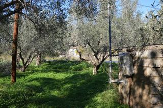Αγροτεμάχια 2.900 τ.μ. για πώληση, Αργολίδα, Λέρνα-thumb-19