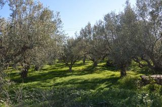Αγροτεμάχια 2.900 τ.μ. για πώληση, Αργολίδα, Λέρνα-thumb-21