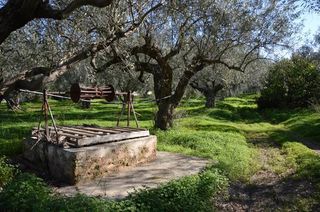 Αγροτεμάχια 2.900 τ.μ. για πώληση, Αργολίδα, Λέρνα-thumb-4