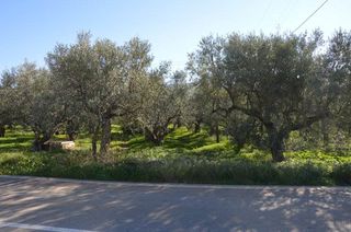Αγροτεμάχια 2.900 τ.μ. για πώληση, Αργολίδα, Λέρνα-thumb-24