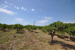 Αγροτεμάχια 15.000 τ.μ. για πώληση, Αργολίδα, Νέα Κίος-thumb-7