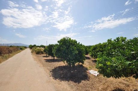 Αγροτεμάχια 15.000τ.μ. για πώληση-Νέα κίος