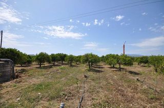 Αγροτεμάχια 15.000 τ.μ. για πώληση, Αργολίδα, Νέα Κίος-thumb-5