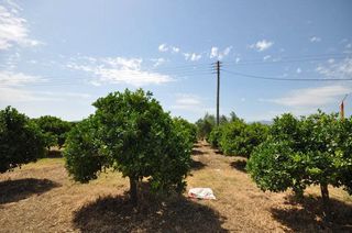 Αγροτεμάχια 15.000 τ.μ. για πώληση, Αργολίδα, Νέα Κίος-thumb-1