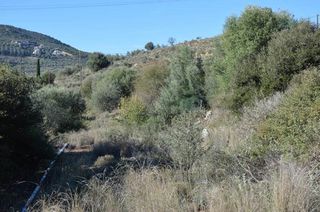 Αγροτεμάχια 5.200 τ.μ. για πώληση, Αργολίδα, Ασίνη-thumb-14