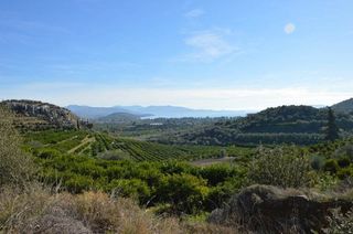 Αγροτεμάχια 5.200 τ.μ. για πώληση, Αργολίδα, Ασίνη-thumb-24