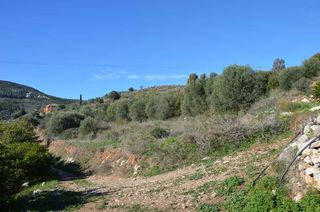 Αγροτεμάχια 5.200 τ.μ. για πώληση, Αργολίδα, Ασίνη-thumb-6