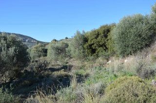 Αγροτεμάχια 5.200 τ.μ. για πώληση, Αργολίδα, Ασίνη-thumb-12