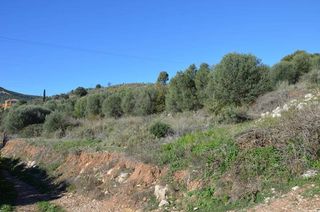 Αγροτεμάχια 5.200 τ.μ. για πώληση, Αργολίδα, Ασίνη-thumb-17