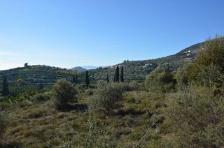 Αγροτεμάχια 5.200 τ.μ. για πώληση, Αργολίδα, Ασίνη-thumb-8