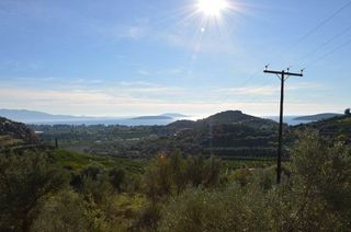 Αγροτεμάχια 5.200 τ.μ. για πώληση, Αργολίδα, Ασίνη-thumb-10