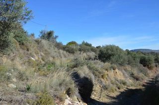 Αγροτεμάχια 5.200 τ.μ. για πώληση, Αργολίδα, Ασίνη-thumb-15
