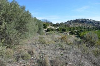 Αγροτεμάχια 5.200 τ.μ. για πώληση, Αργολίδα, Ασίνη-thumb-21