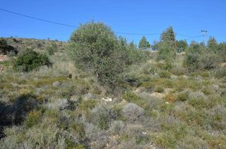 Αγροτεμάχια 5.200 τ.μ. για πώληση, Αργολίδα, Ασίνη-thumb-20