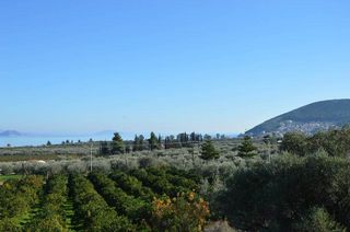 Αγροτεμάχια 3.347 τ.μ. για πώληση, Αργολίδα, Λέρνα-thumb-25