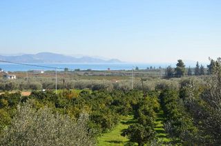 Αγροτεμάχια 3.347 τ.μ. για πώληση, Αργολίδα, Λέρνα-thumb-5