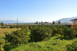 Αγροτεμάχια 3.347 τ.μ. για πώληση, Αργολίδα, Λέρνα-thumb-19