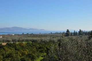 Αγροτεμάχια 3.347 τ.μ. για πώληση, Αργολίδα, Λέρνα-thumb-16