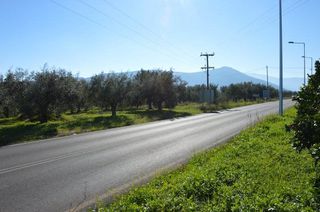 Αγροτεμάχια 3.347 τ.μ. για πώληση, Αργολίδα, Λέρνα-thumb-21