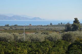 Αγροτεμάχια 3.347 τ.μ. για πώληση, Αργολίδα, Λέρνα-thumb-17