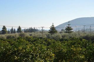 Αγροτεμάχια 3.347 τ.μ. για πώληση, Αργολίδα, Λέρνα-thumb-18