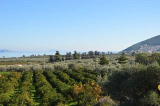 Αγροτεμάχια 3.347 τ.μ. για πώληση, Αργολίδα, Λέρνα-thumb-26