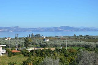 Αγροτεμάχια 3.347 τ.μ. για πώληση, Αργολίδα, Λέρνα-thumb-24