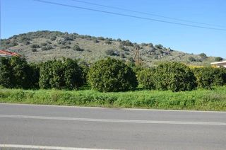 Αγροτεμάχια 3.347 τ.μ. για πώληση, Αργολίδα, Λέρνα-thumb-8