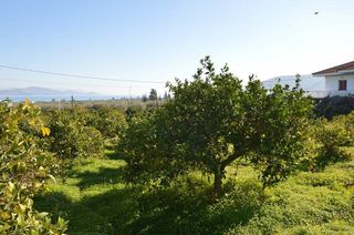 Αγροτεμάχια 3.347 τ.μ. για πώληση, Αργολίδα, Λέρνα-thumb-13